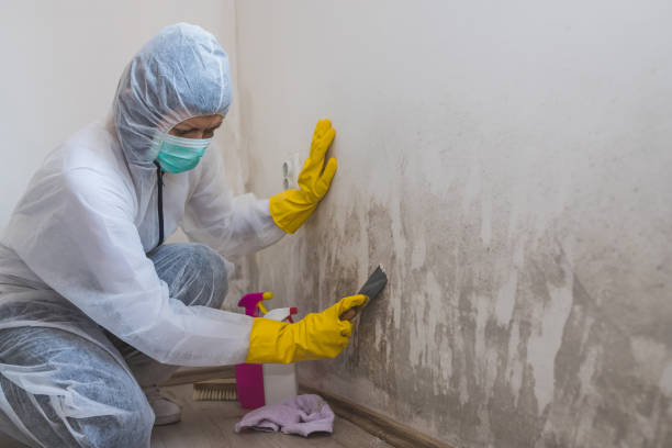 Mold Remediation for Vacation Homes in Hopewell, TN