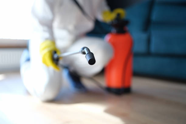 Hopewell, TN Mold Removal Company