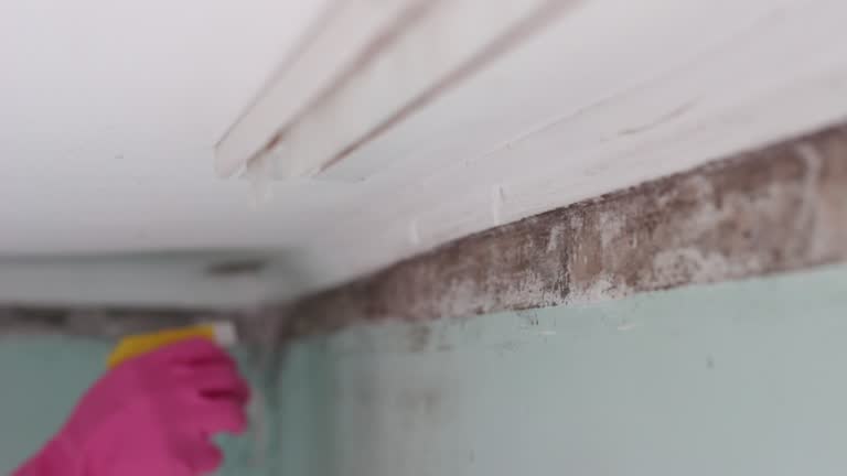 Mold Remediation for Rental Properties